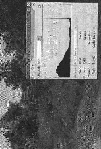Панель Histogram